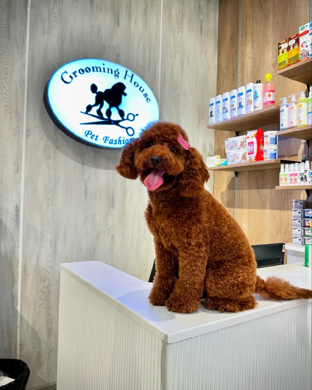 Grooming House salon